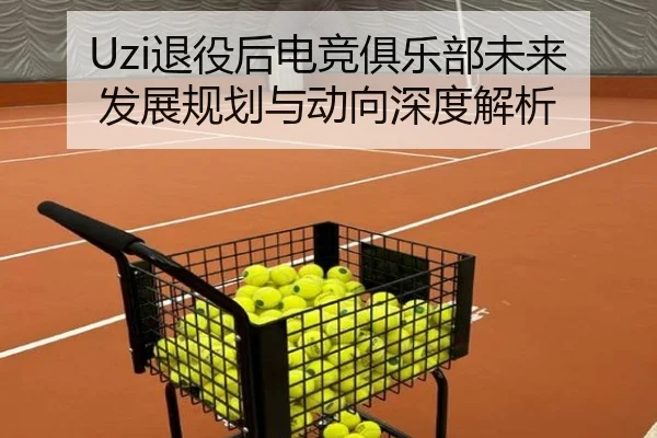Uzi退役后电竞俱乐部未来发展规划与动向深度解析